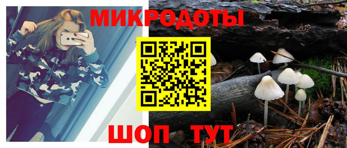 Георгиевск  Псилоцибиновые грибы мухоморы  Вход с VPN 